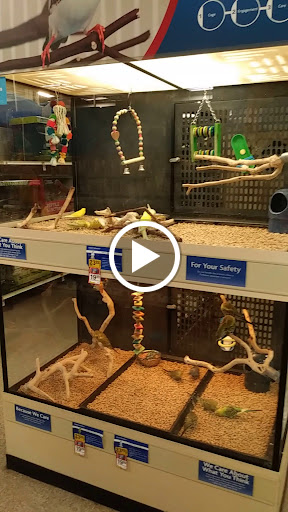 Pet Supply Store «PetSmart», reviews and photos, 2101 Elmwood Ave, Buffalo, NY 14207, USA