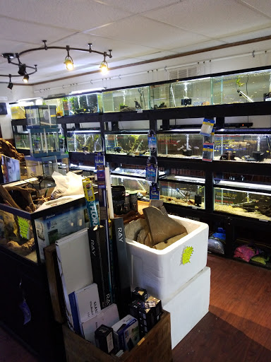 Tropical Fish Store «Aquastetics», reviews and photos, 354 E Main St, Fall River, MA 02724, USA