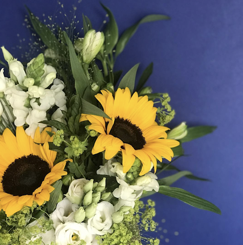 Reviews of Nadia Di Tullio Flowers in Derby - Florist