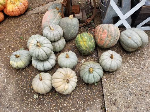 Gift Shop «Sisters Garden», reviews and photos, 4895 IA-1, Kalona, IA 52247, USA