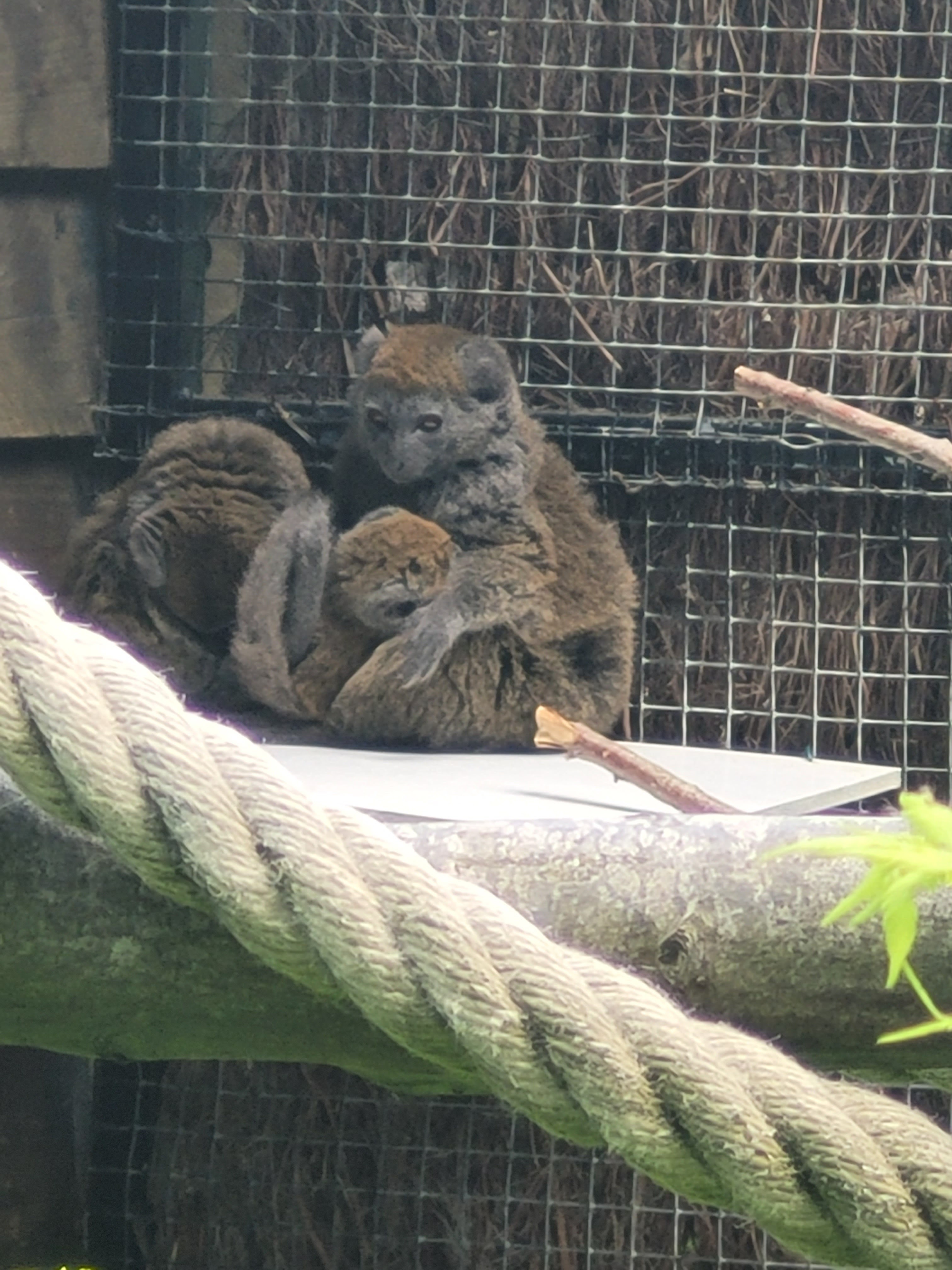 Photo n° 28 de l'avis de Vero.o fait le 14/06/2022 à 11:47