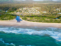 Beaumaris Beach'in fotoğrafı çok temiz temizlik seviyesi ile