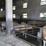 Photo n°2 de l'avis de loris.i fait le 27/05/2018 à 11:53 sur le  Agriturismo Ferraro à Castelfranco Veneto