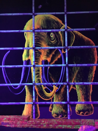 Laser Tag Center «Zap Zone Glo-Golf», reviews and photos, 41953 Ford Rd, Canton, MI 48187, USA