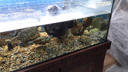 Pet Store «Premium Pet Store», reviews and photos, 1600 E Holt Ave, Pomona, CA 91767, USA