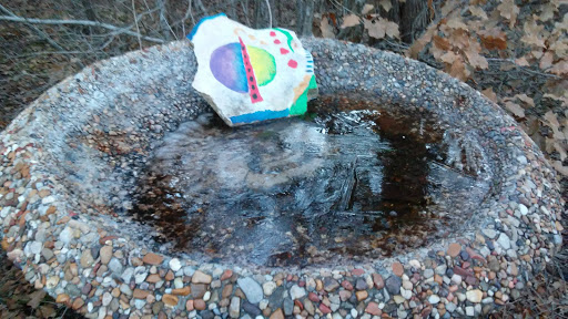 Cabin Rental Agency «Paluxy River Bed Cabins», reviews and photos, 1319 FM 205, Glen Rose, TX 76043, USA