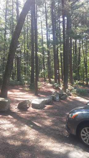 State Park «Lowell-Dracut-Tyngsborough State Forest», reviews and photos, Trotting Park Rd, Dracut, MA 01826, USA