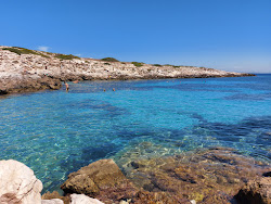 Zdjęcie Spiaggia di Cala Minnola z poziomem czystości dość czysty
