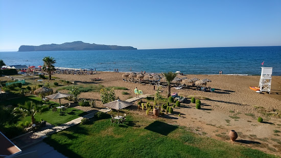 Star Beach