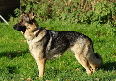 Schæferhundeklubben kreds 14