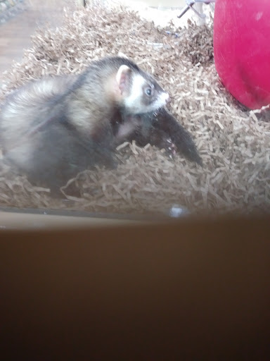 Pet Supply Store «Pet Supermarket», reviews and photos, 2595 SE Federal Hwy, Stuart, FL 34994, USA