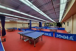 Lily Yip Table Tennis Center LLC image