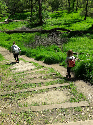 Nature Preserve «Effie Yeaw Nature Center», reviews and photos, 2850 San Lorenzo Way, Carmichael, CA 95608, USA