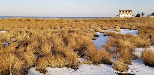 Tourist Attraction «Wetlands overlook park», reviews and photos, 4020 11th St, North Beach, MD 20714, USA