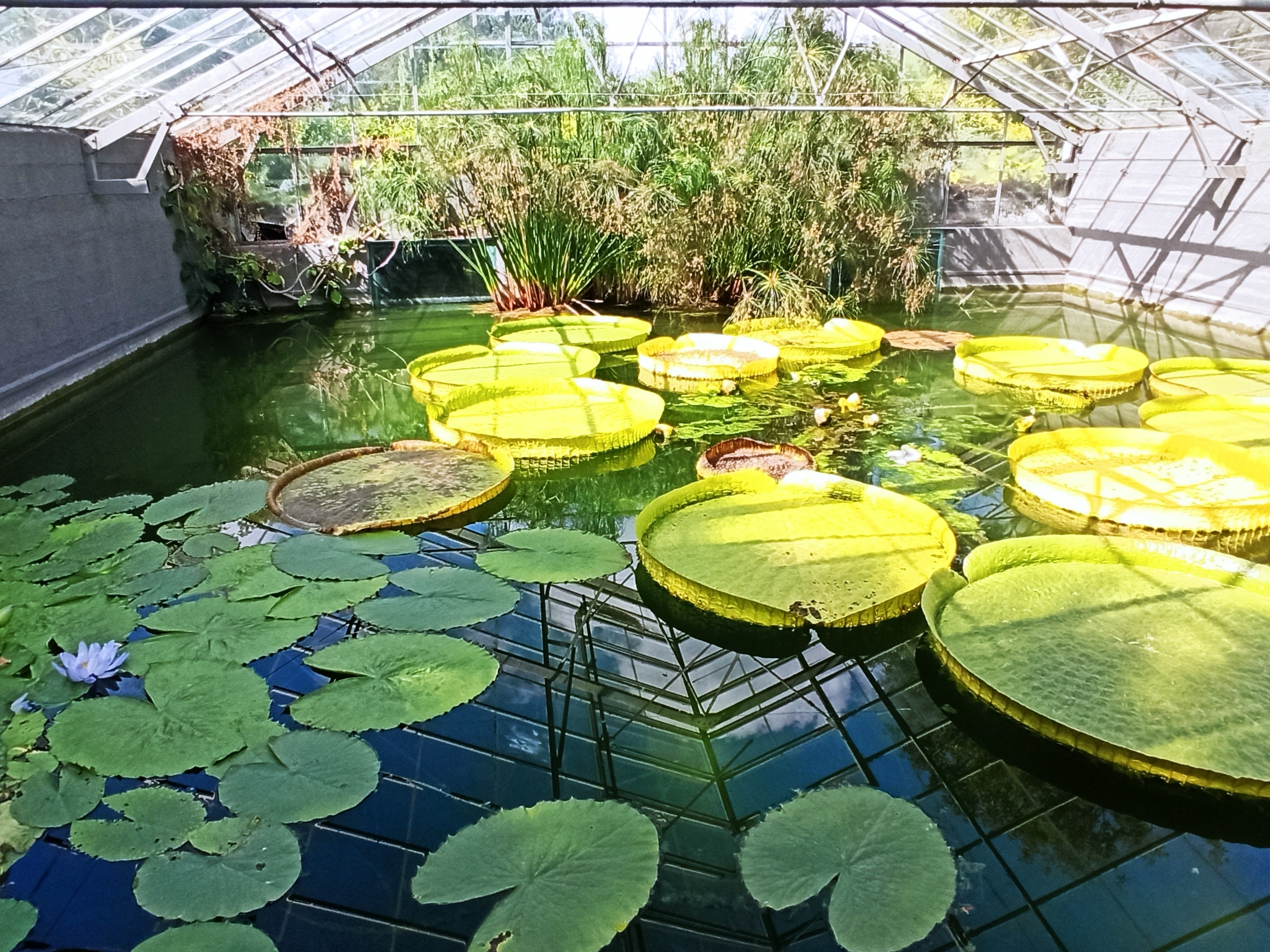 Photo n° 15 de l'avis de Dd.o fait le 22/09/2020 à 13:32