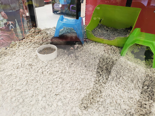 Pet Supply Store «Petco Animal Supplies», reviews and photos, 1250 N Germantown Pkwy #112, Cordova, TN 38016, USA