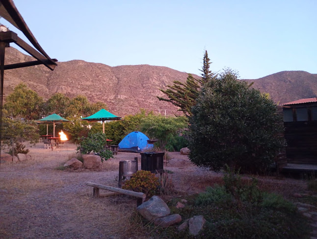 Opiniones de Eco Camping Totoralillo en Coquimbo - Camping