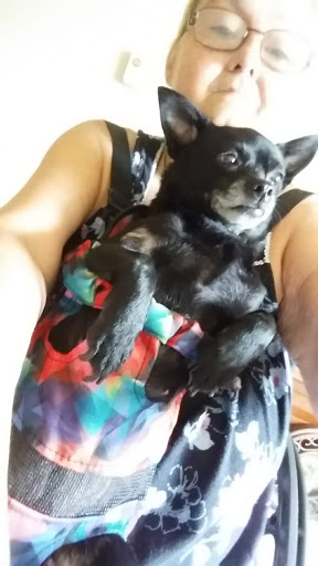 Pet Supply Store «PetSmart», reviews and photos, 4540 Grape Rd, Mishawaka, IN 46545, USA