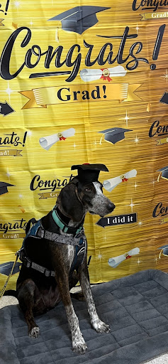 Pet Supply Store «PetSmart», reviews and photos, 466 S Watson Rd, Buckeye, AZ 85326, USA