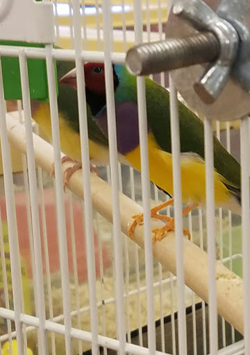 Pet Supply Store «Pet Supermarket, Inc.», reviews and photos, 3911 Lemmon Ave, Dallas, TX 75219, USA