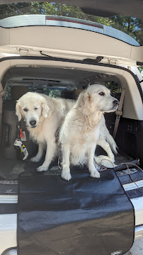 Creekside Pet Retreat and Kennel - Photo 2 - Car repair in Johns Island, SC, Charleston
