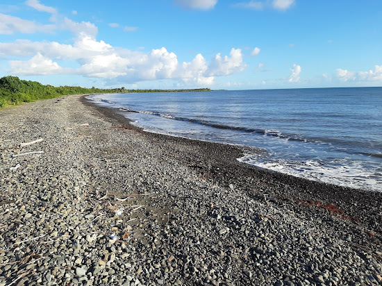 Playa Bizarreta