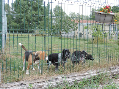 Ecrin de la Houblonnière à Steenvoorde