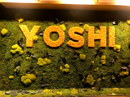 Yoshi Sushi&Teppanyaki