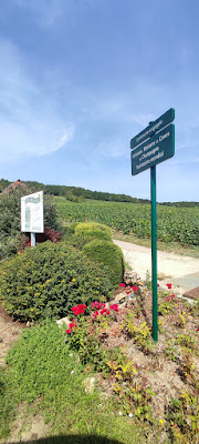 Champagne Franquet-Lebrun à Monthelon