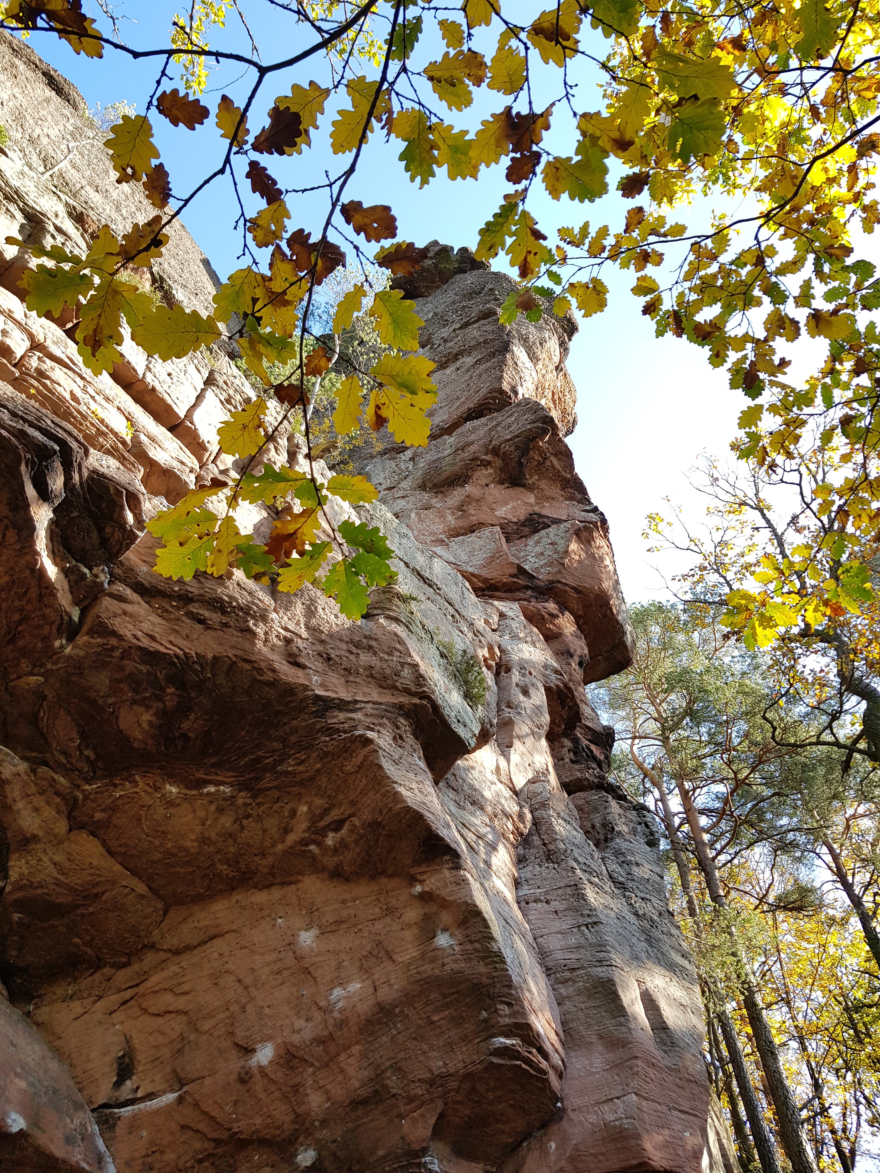 Photo n° 13 de l'avis de Roland.c fait le 09/11/2019 à 18:18