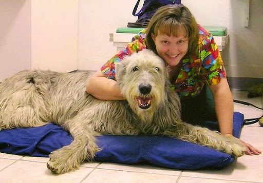 4945 SW 77th Ave, Portland, OR 97225, USA