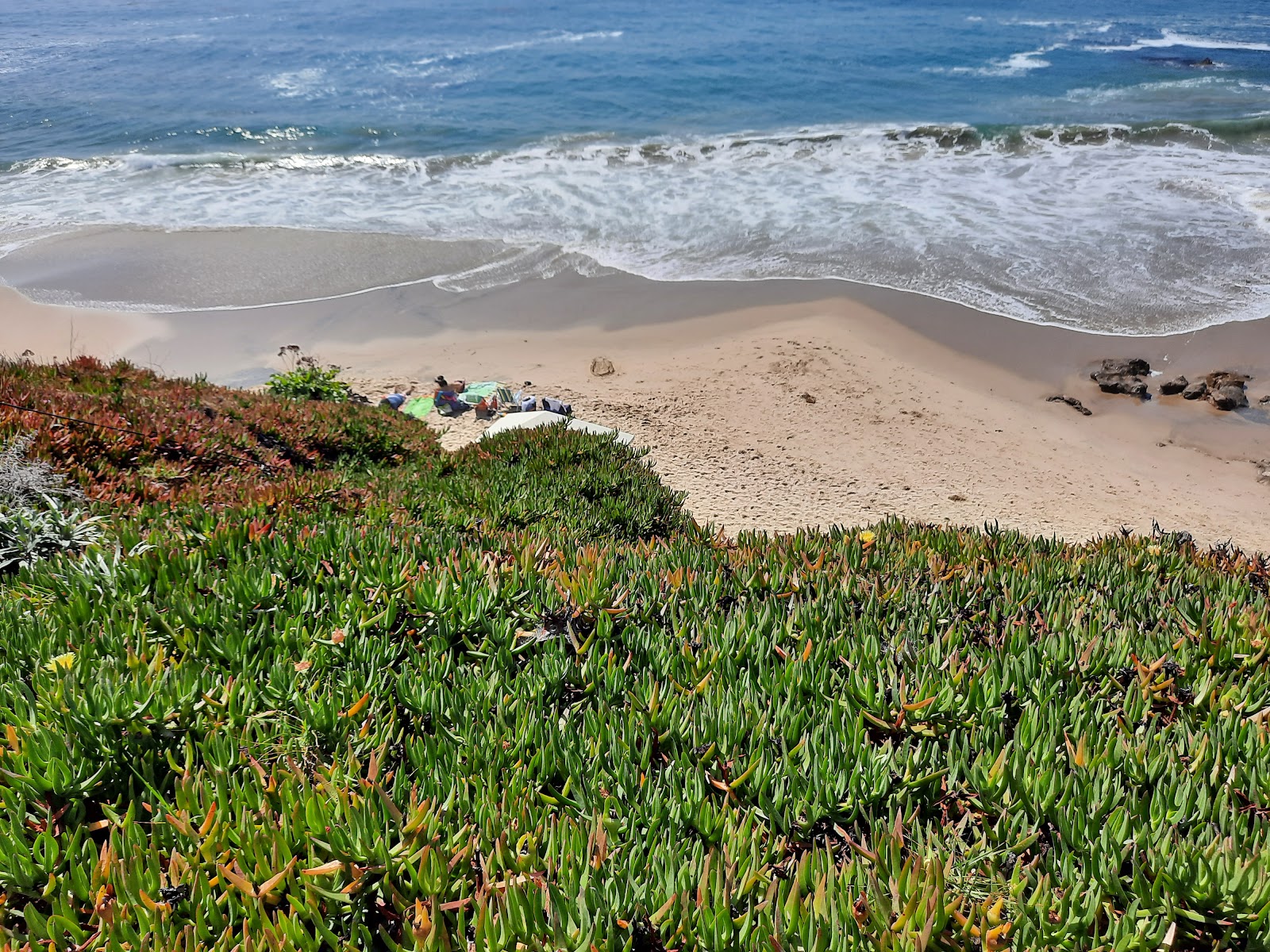 Photo of Heisler beach with very clean level of cleanliness