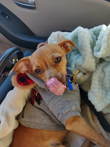 Pet Supply Store «Petco Animal Supplies», reviews and photos, 300 Quaker Ln #3, Warwick, RI 02886, USA