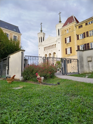 Chez Léopoule à Lyon