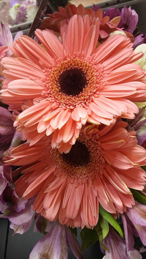 Grocery Store «Giant Food Stores», reviews and photos, 1465 W Broad St, Quakertown, PA 18951, USA