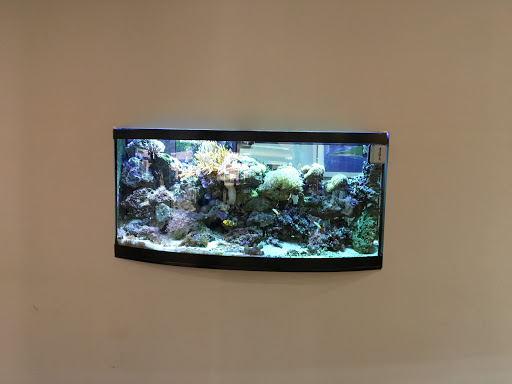 Jeweler «David Kodner Personal Jeweler», reviews and photos, 7710 Carondelet Ave # 102, Clayton, MO 63105, USA