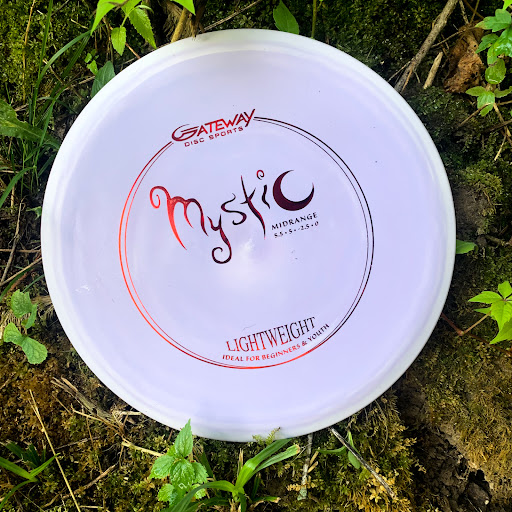 Sporting Goods Store «Gateway Disc Sports», reviews and photos, 10855 Metro Ct, Maryland Heights, MO 63043, USA