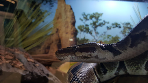 Tourist Attraction «IMAG History & Science Center (formerly Imaginarium Science Center)», reviews and photos, 2000 Cranford Ave, Fort Myers, FL 33916, USA