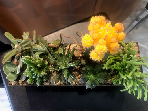 Florist «Mia fiori», reviews and photos, 5840 Legacy Cir D165, Plano, TX 75024, USA