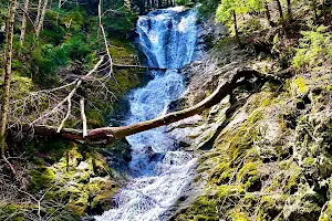 Tannery Falls image