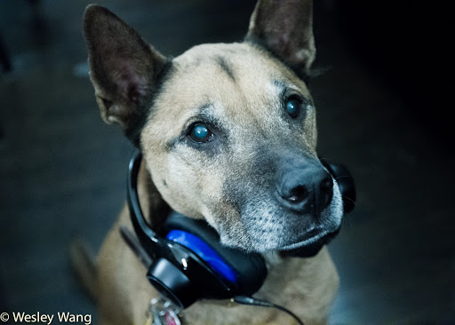 Night Club «Marquee New York», reviews and photos, 289 10th Avenue, New York, NY 10001, USA