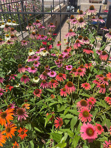 Art Museum «Wadsworth Atheneum Museum of Art», reviews and photos, 600 Main St, Hartford, CT 06103, USA