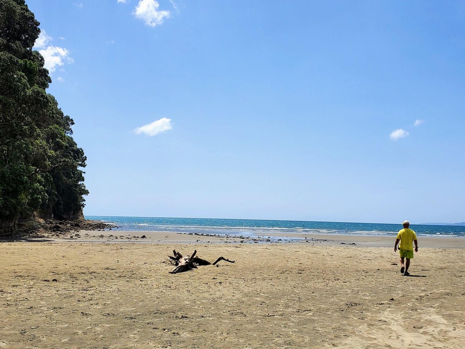 Foto de Orewa Beach - lugar popular entre os apreciadores de relaxamento