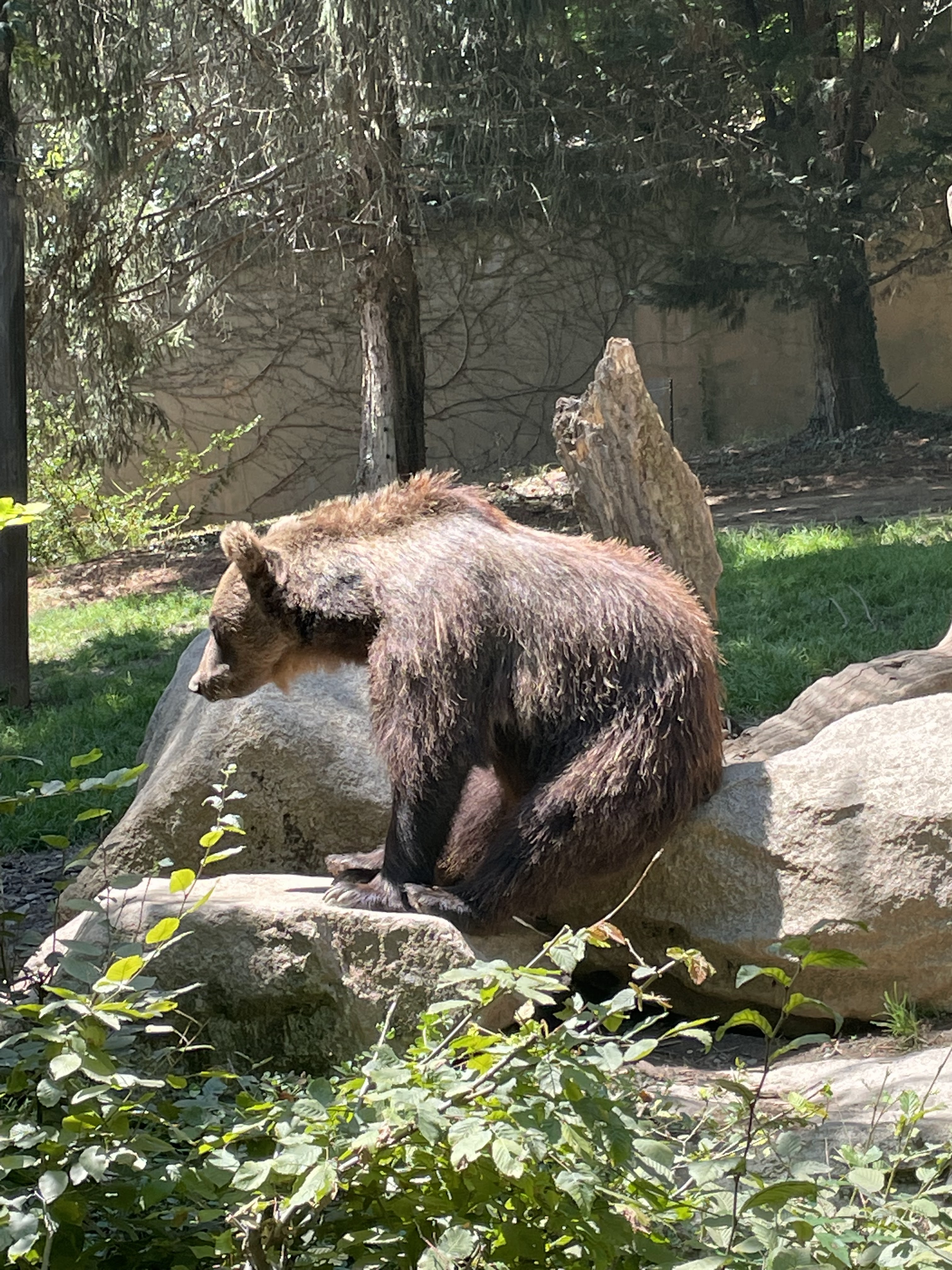 Photo n° 30 de l'avis de Gregory.G fait le 01/08/2022 à 10:31