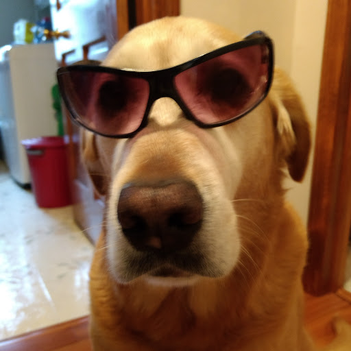 Pet Supply Store «Pet Supplies Plus», reviews and photos, 101 Sutton Ave, Oxford, MA 01540, USA