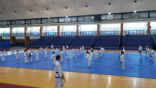 Polideportivo San Pedro Alcántara - C. Castilla, s/n, 29670 San Pedro Alcántara, Málaga