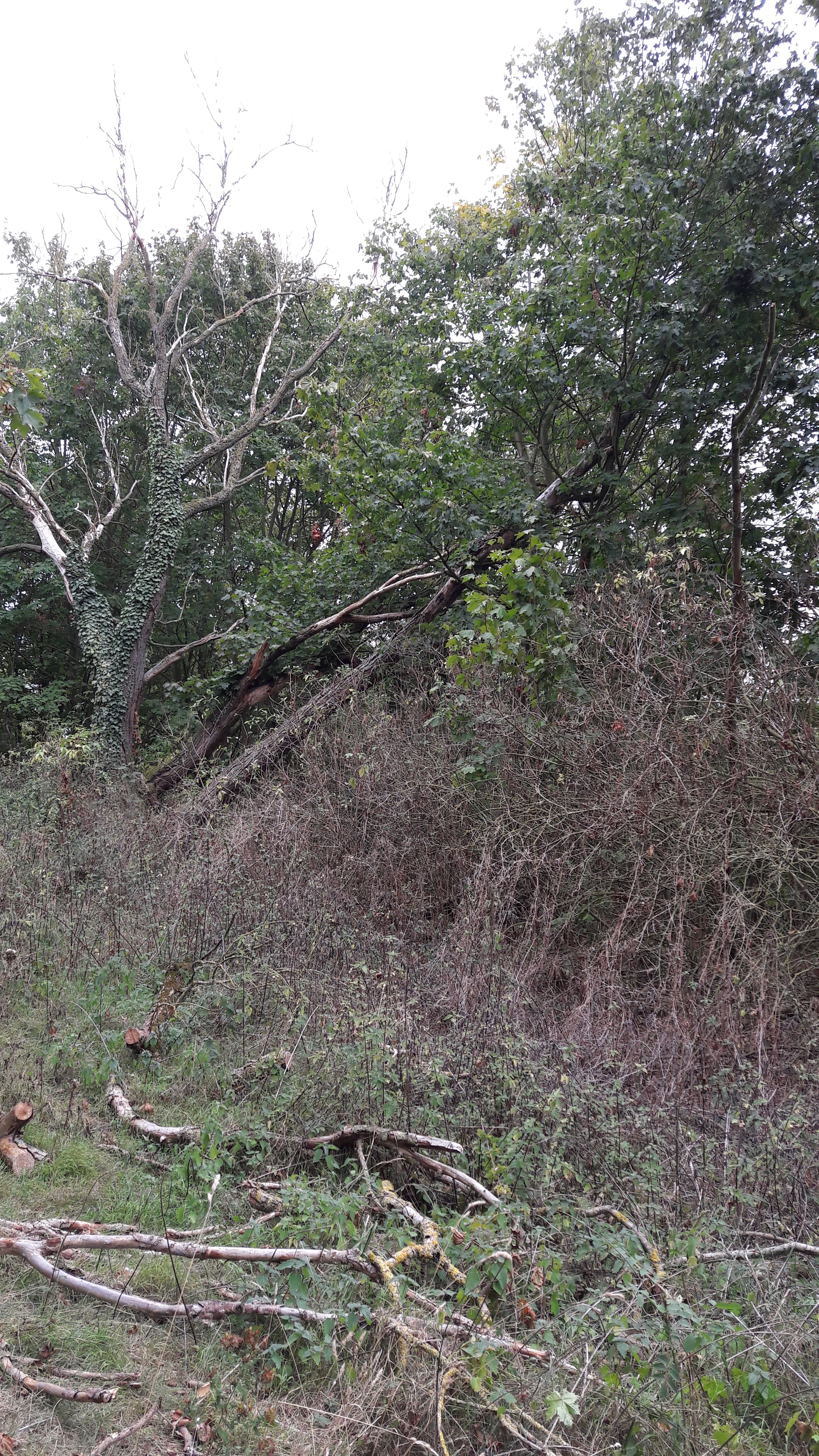 Photo n° 12 de l'avis de Alfa.l fait le 12/09/2019 à 04:09