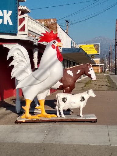 Animal Feed Store «All Pet Feed & Tack», reviews and photos, 25598 E Baseline St, San Bernardino, CA 92410, USA