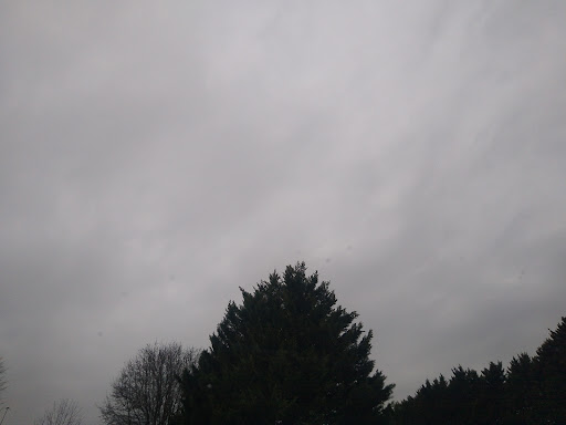 Hardware Store «Ace Hardware & Rental», reviews and photos, 29 Pelzer Ave, Williamston, SC 29697, USA