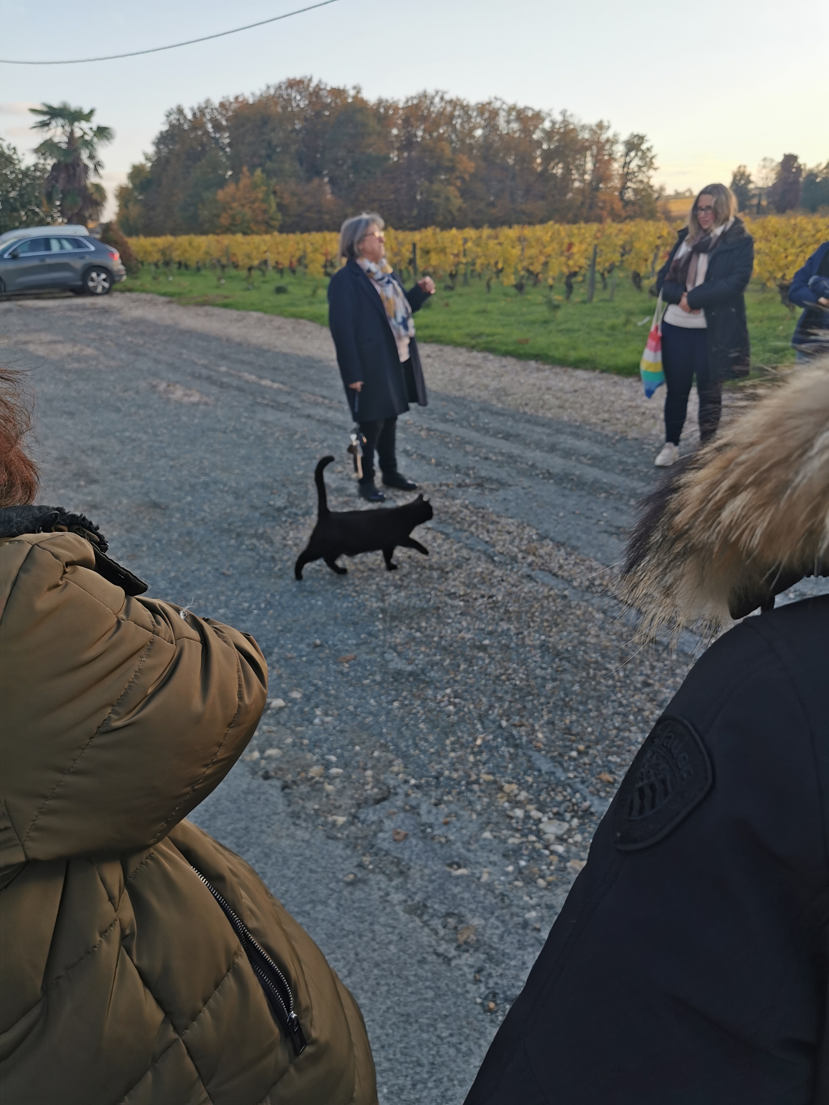 Photo n° 19 de l'avis de Tausif.a fait le 13/12/2022 à 08:16